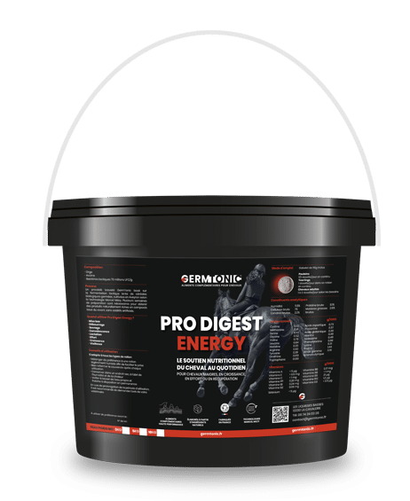 DIGEST ENERGY produit