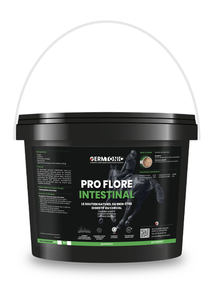 PRO FLORE INTESTINAL produit