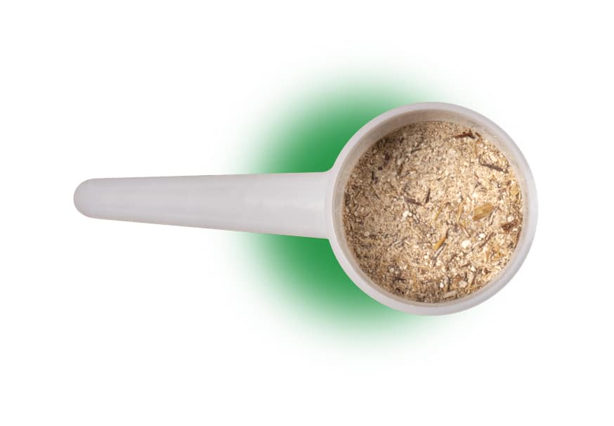 scoop PRO FLORE INTESTINAL