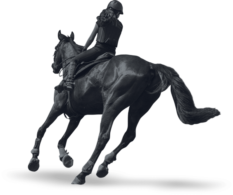 cheval au galop